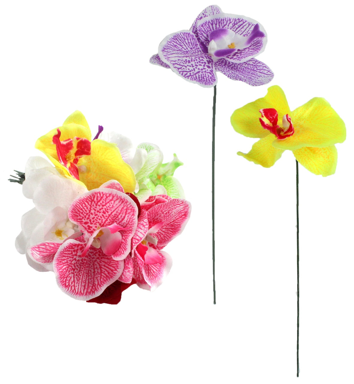 Orchidee Phalaenopsis 7 Farben ohne Blatt ca 21cm