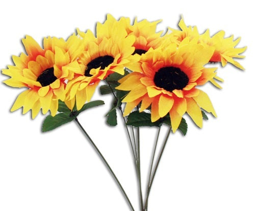 Sonnenblume ca 30 cm