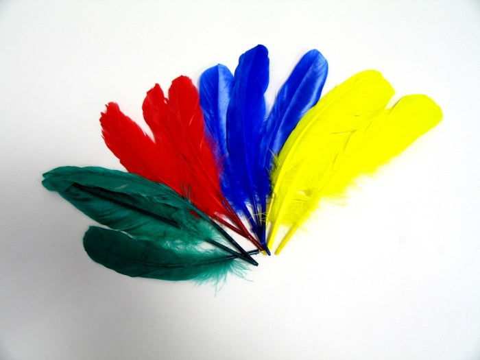 candytoys.ch SB-Pack mit 12 sortierten Indianerfedern candytoys.ch Switzerland