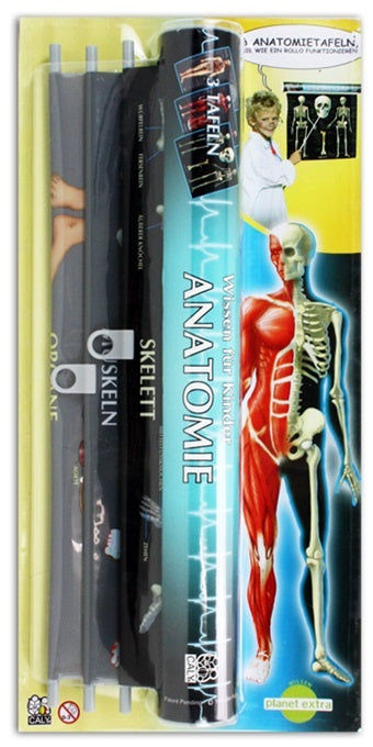candytoys.ch Anatomiewissen - auf Karte ca 43,5x21cm candytoys.ch Switzerland