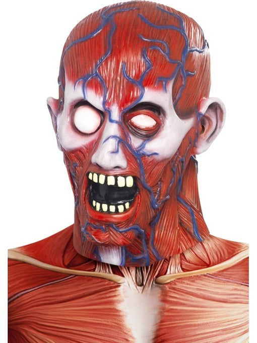 candytoys.ch Maske Anatomie gehäutet aus Latex candytoys.ch Switzerland