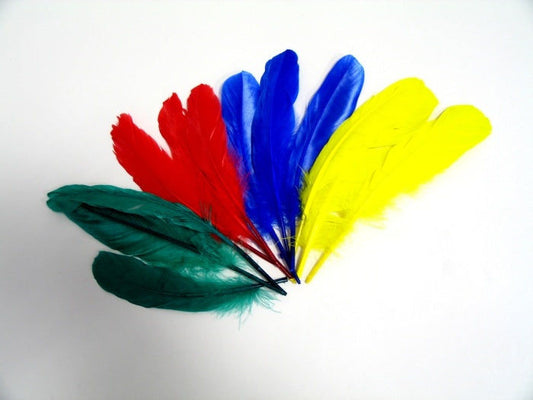 candytoys.ch SB-Pack mit 12 sortierten Indianerfedern candytoys.ch Switzerland