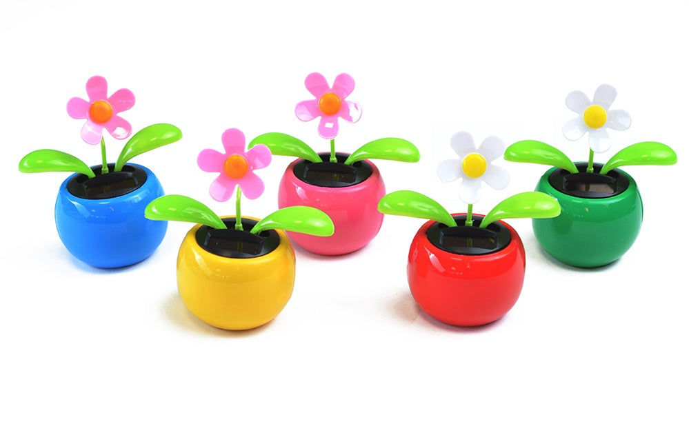 candytoys.ch Solar Blume 5 sortierte Farben ca 11 x 11 cm überwiegend rot candytoys.ch Switzerland