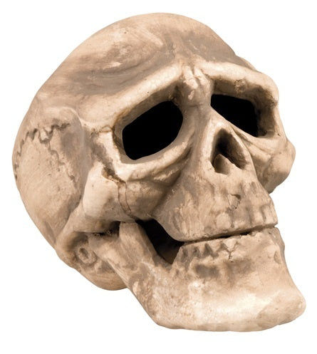 candytoys.ch Totenkopf ca 17x18 cm candytoys.ch Switzerland