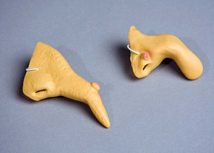 candytoys.ch Weichplastik-Hexennase, sortiert candytoys.ch Switzerland