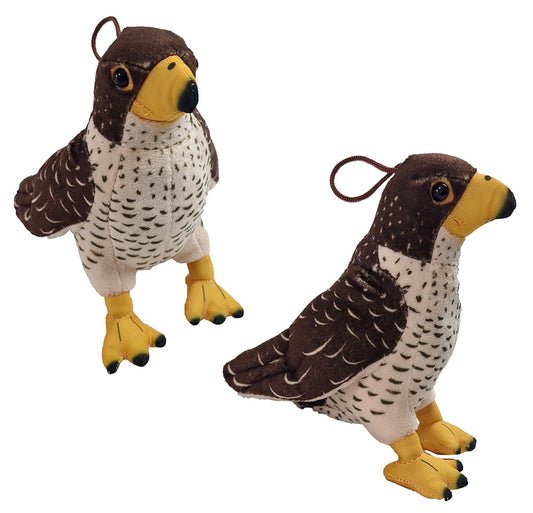 Vogel Habicht Raubvogel ca 17cm