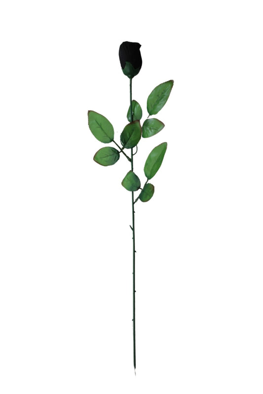 Baccara Rose Schwarz, ca. 65 cm, elegante Schnittblume für Dekoration