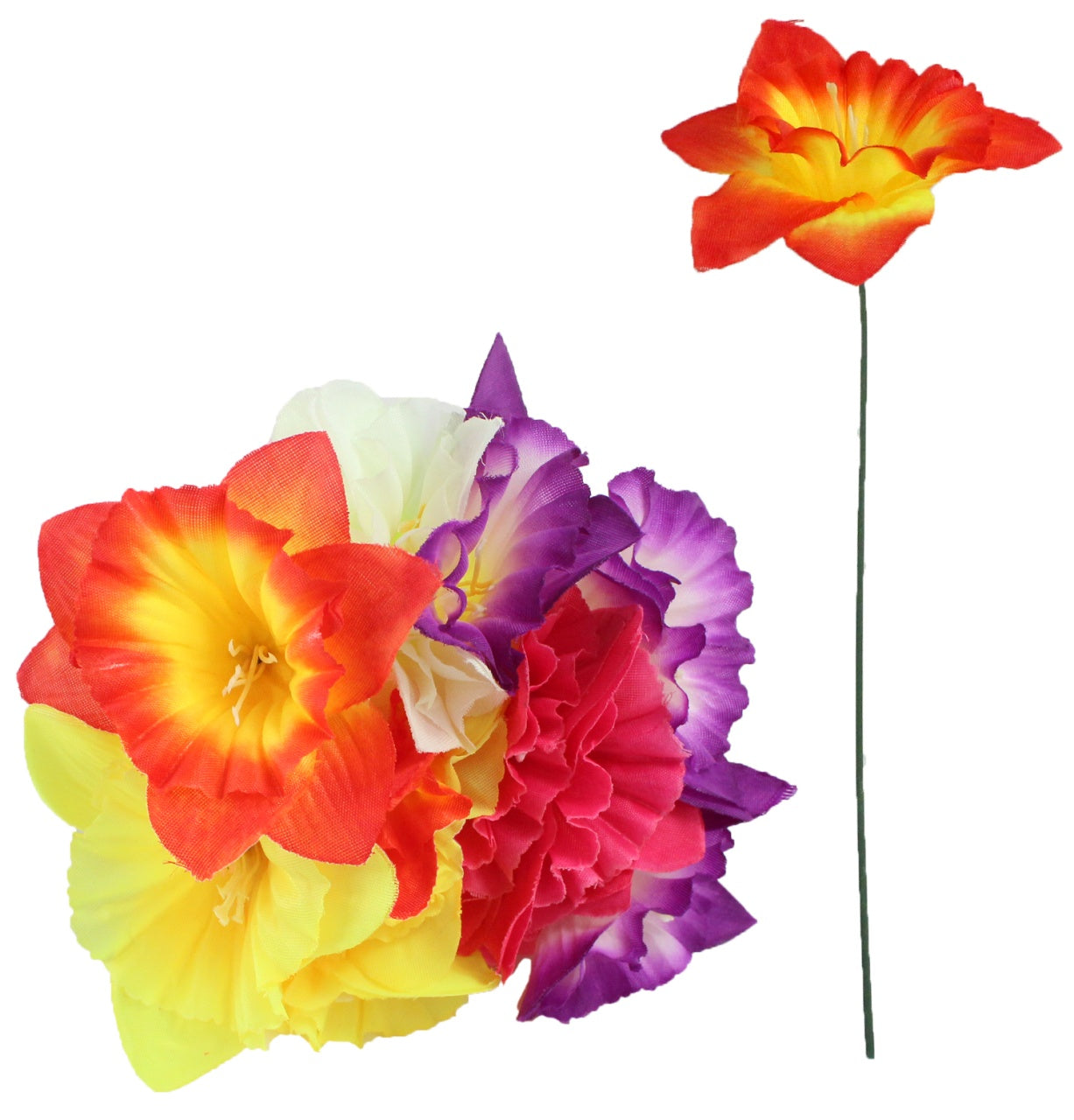 Narzisse ohne Blatt ca 28cm