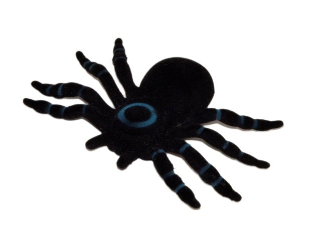 PL Spinne auf Karte candytoys.ch Switzerland