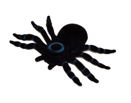 PL Spinne auf Karte candytoys.ch Switzerland